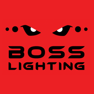 Boss Lighting Logo (1)