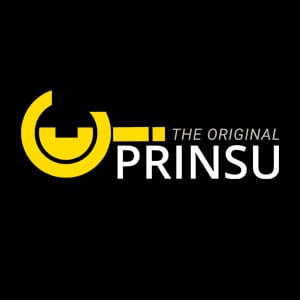 Prinsulogo300 Prinsulogo300